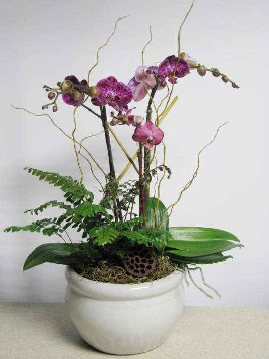 hosueplant, bespoke flower arrangements